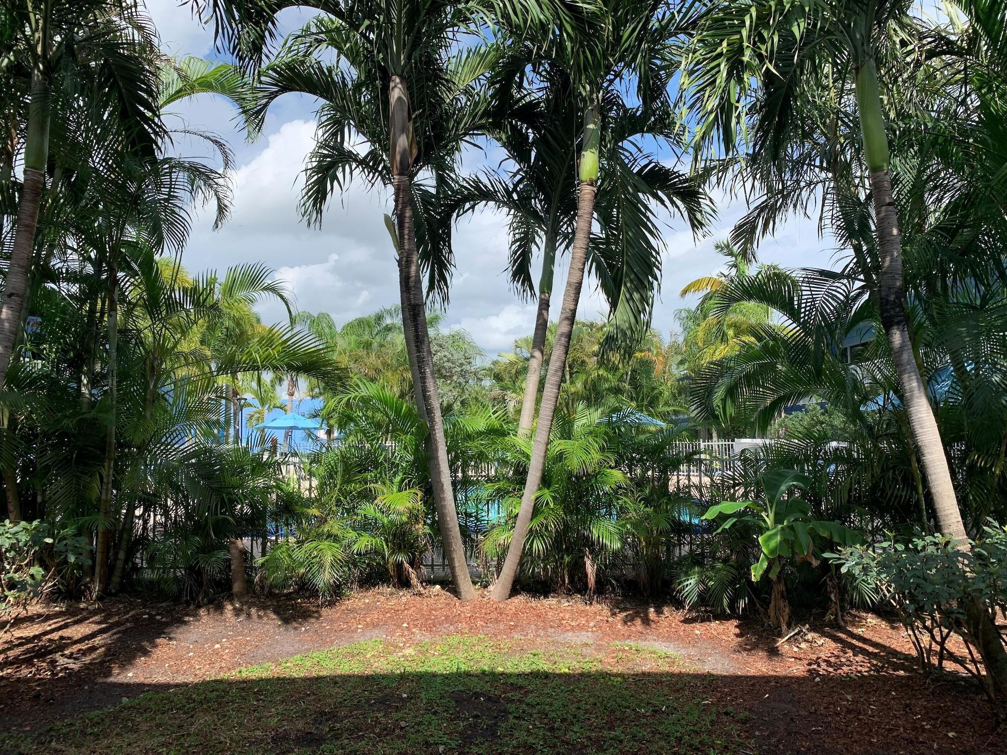 Rodeway Inn & Suites Fort Lauderdale Airport & Cruise Port Εξωτερικό φωτογραφία
